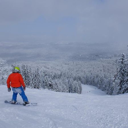 Borovets Apartment, Villa Park מראה חיצוני תמונה